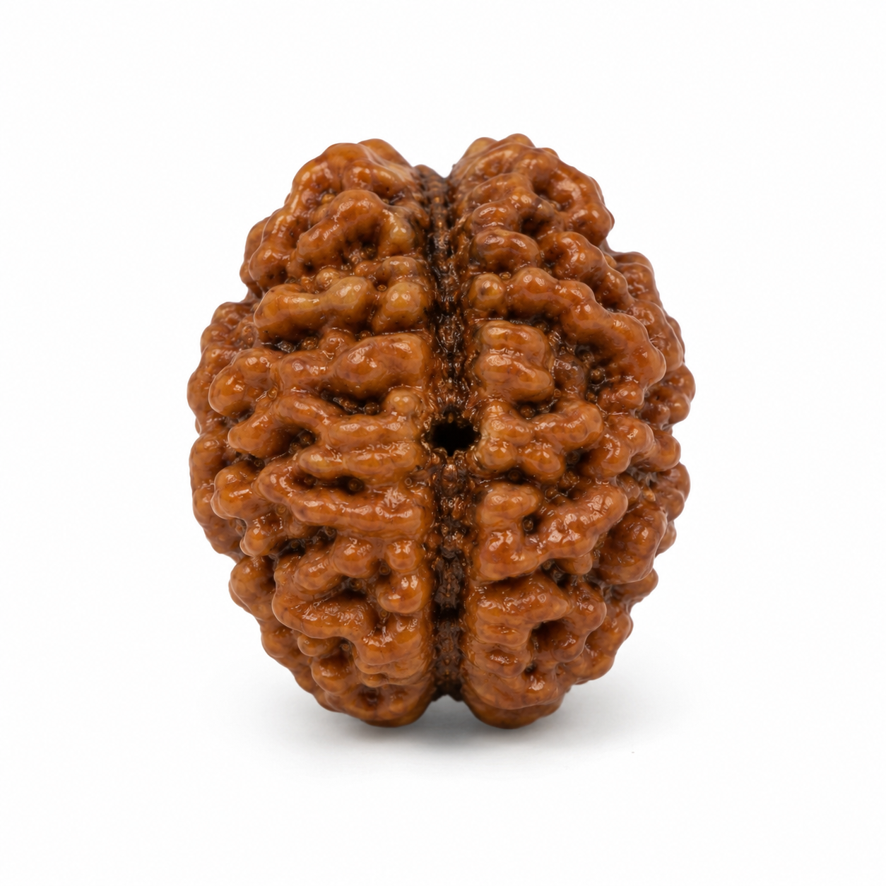 2 mukhi