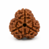 3 mukhi 2