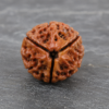 3 mukhi 1