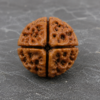 4 mukhi