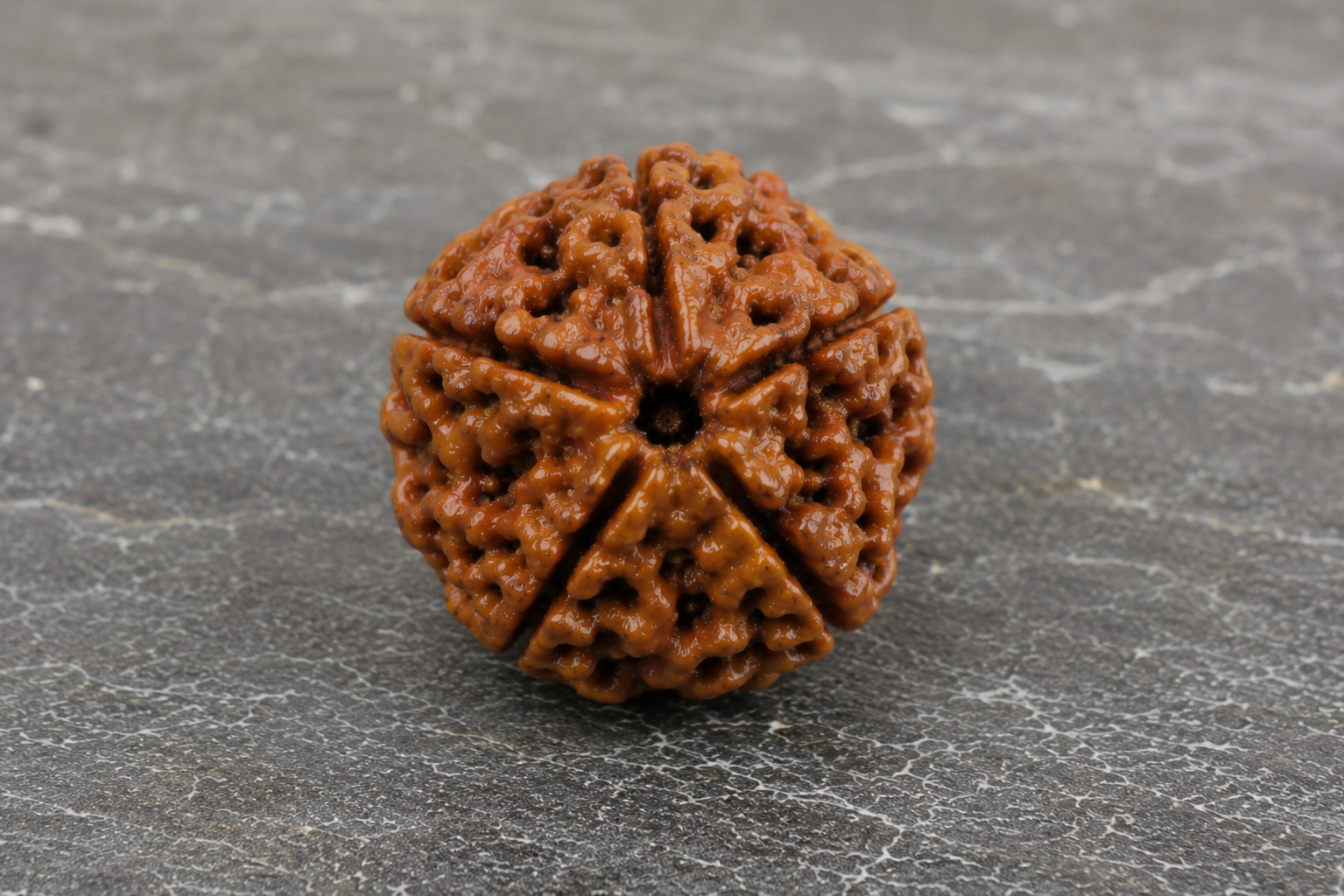 5 mukhi