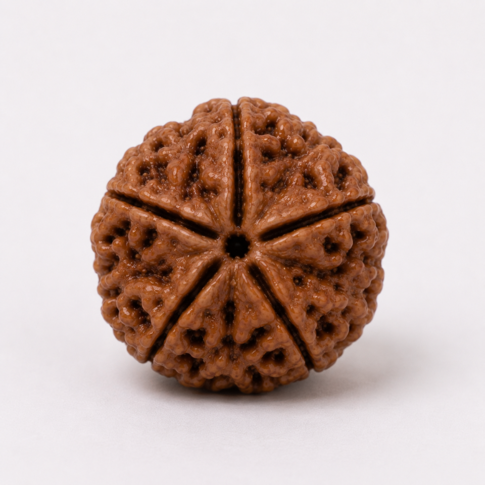 5 Mukhi Rudraksha