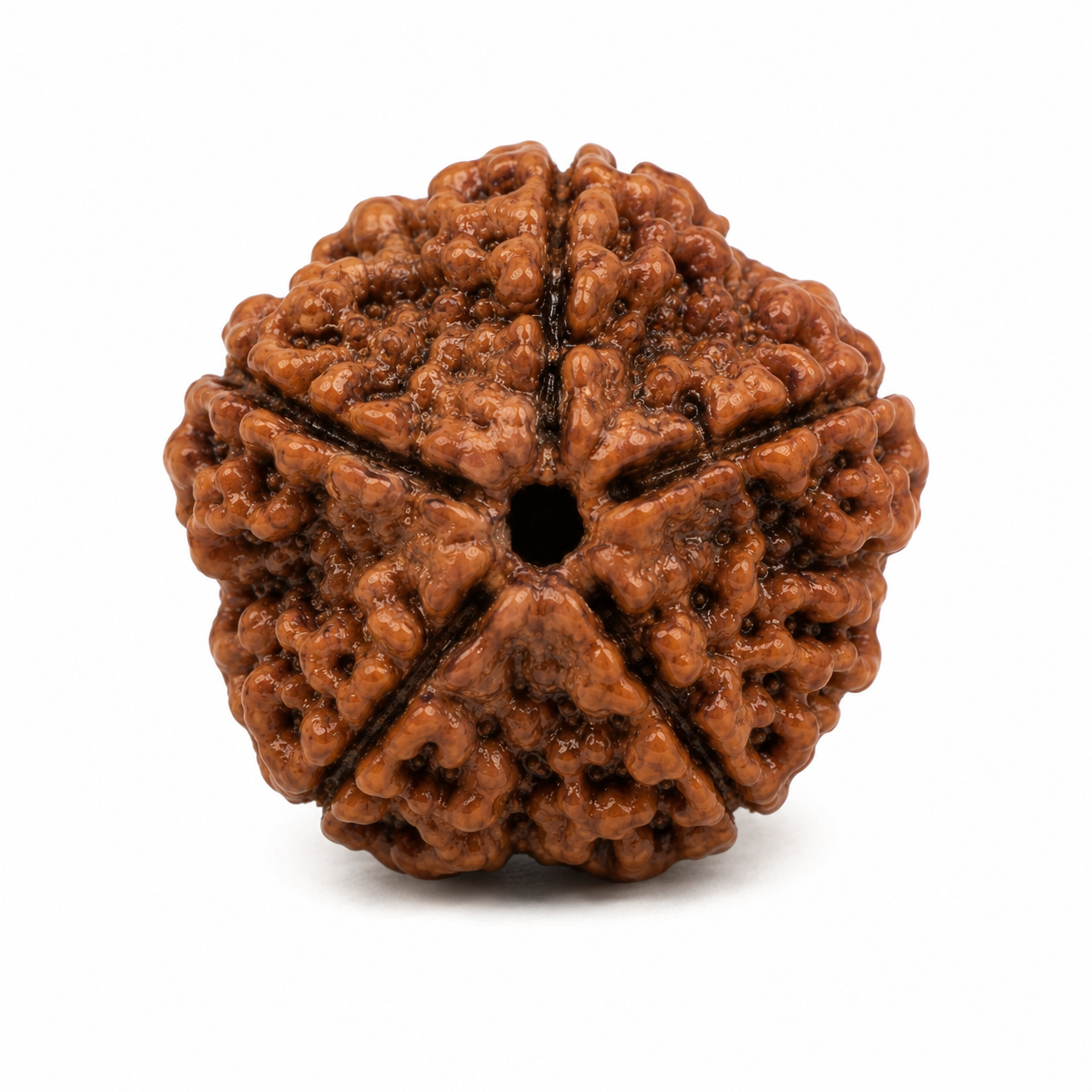 5 mukhi 2
