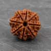 9 mukhi 3