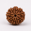 9 mukhi