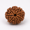 10 mukhi 2