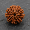 10 mukhi 1