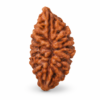1 mukhi
