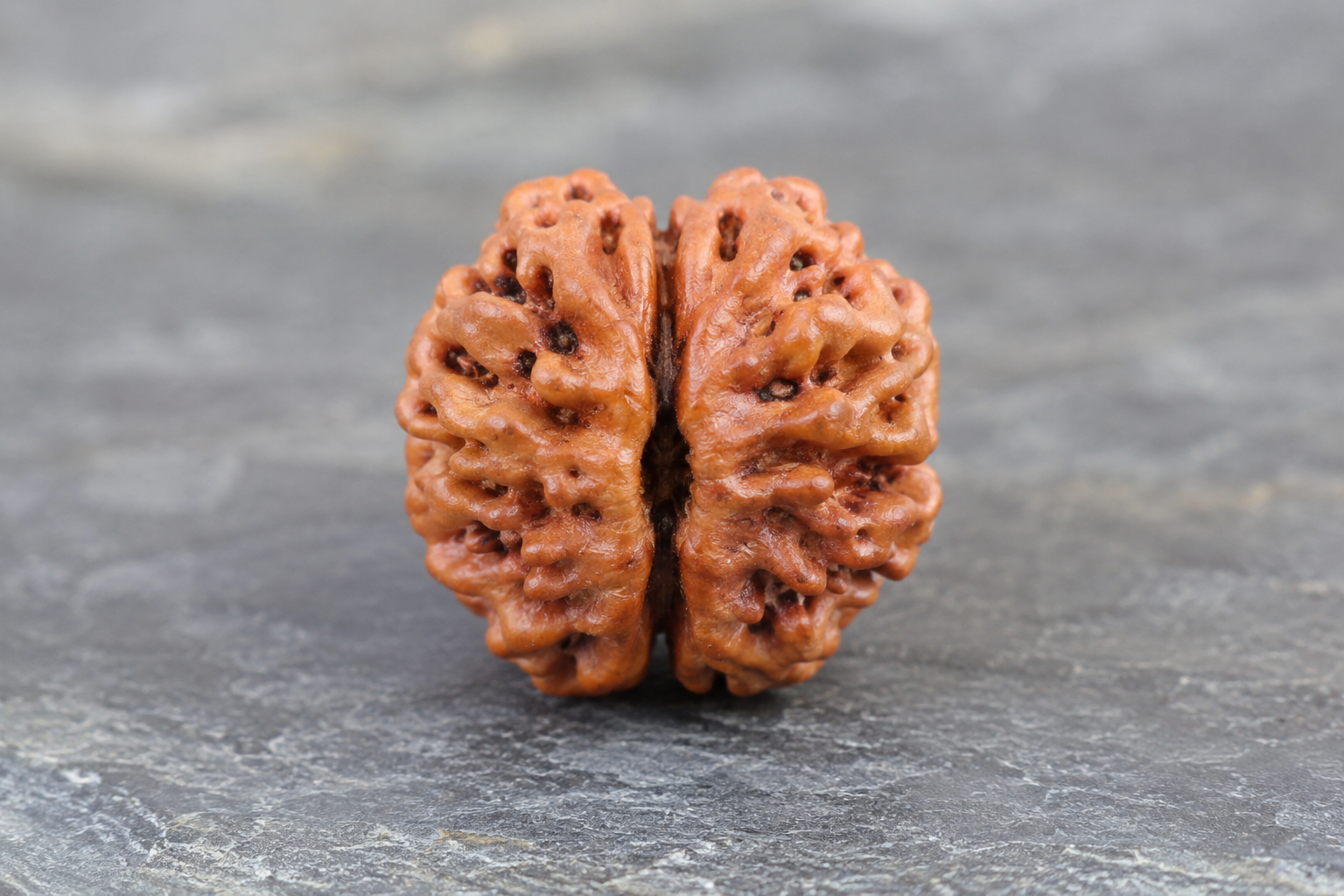 2 mukhi 3