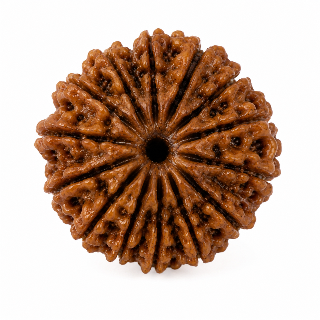 13 mukhi 2