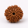 16 mukhi