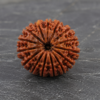 18 mukhi 1
