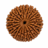 18 mukhi 2