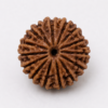 20 mukhi