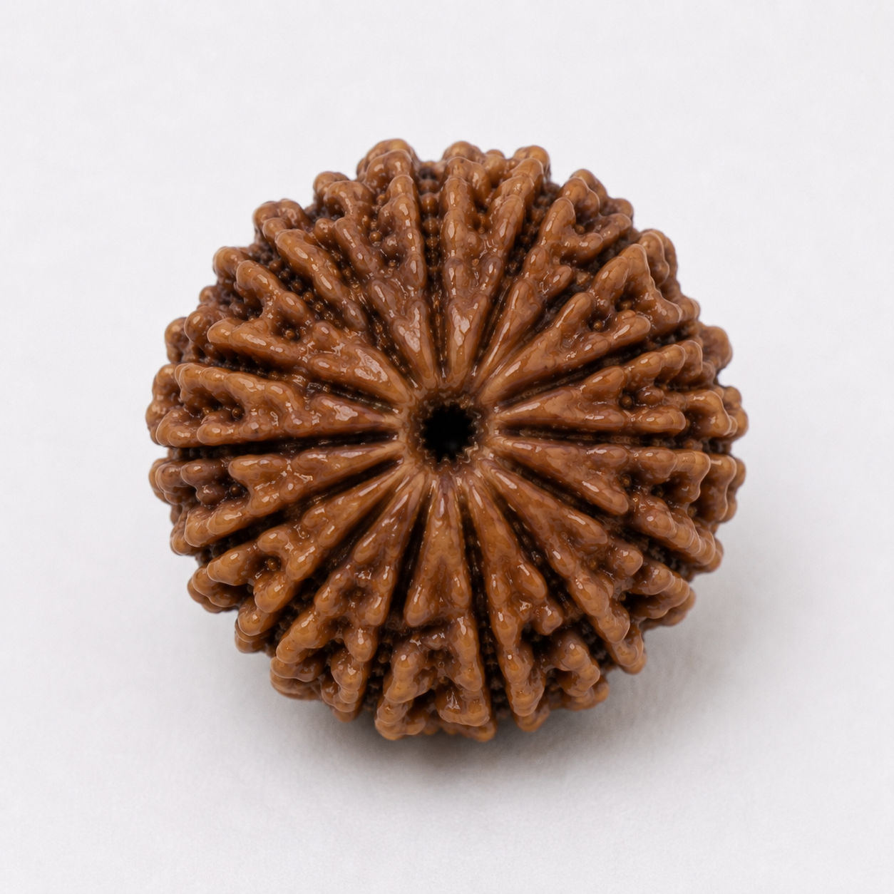 20 mukhi