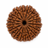 20 mukhi 2