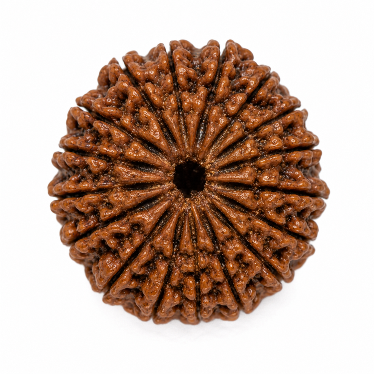 20 mukhi 2