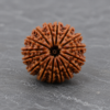 20 mukhi 1