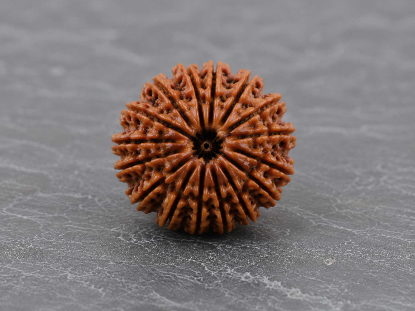 20 mukhi 1