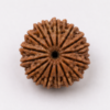 21 mukhi
