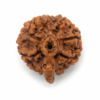 Ganesha Rudraksha 2